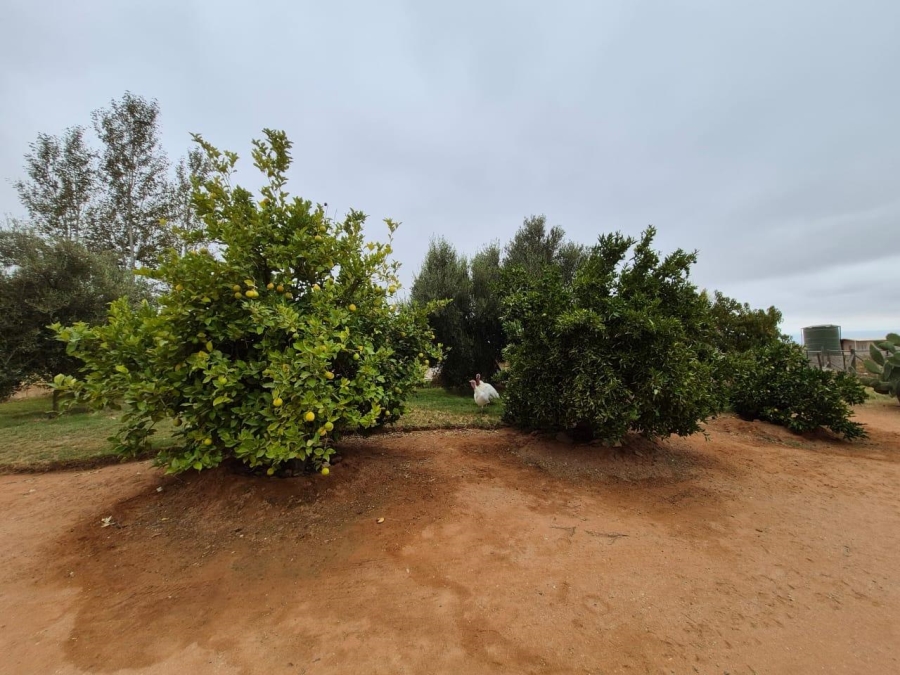 4 Bedroom Property for Sale in Vredendal Rural Western Cape